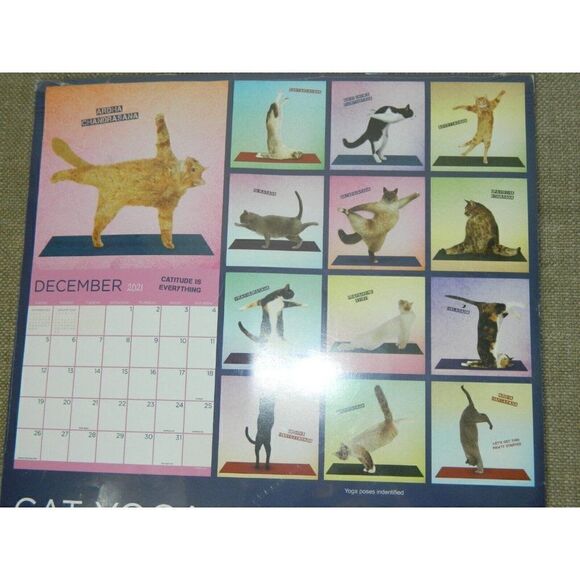 Cat Yoga Fitness Flexibility 2021 Wall Calendar TF Publishing 12 x 12. WALL ART - Picture 2 of 7